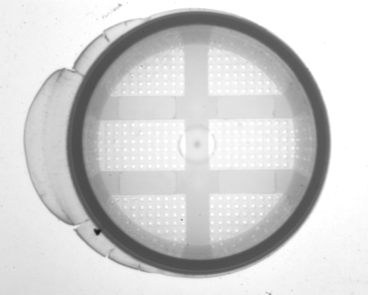 Flash / Extra Material Defect