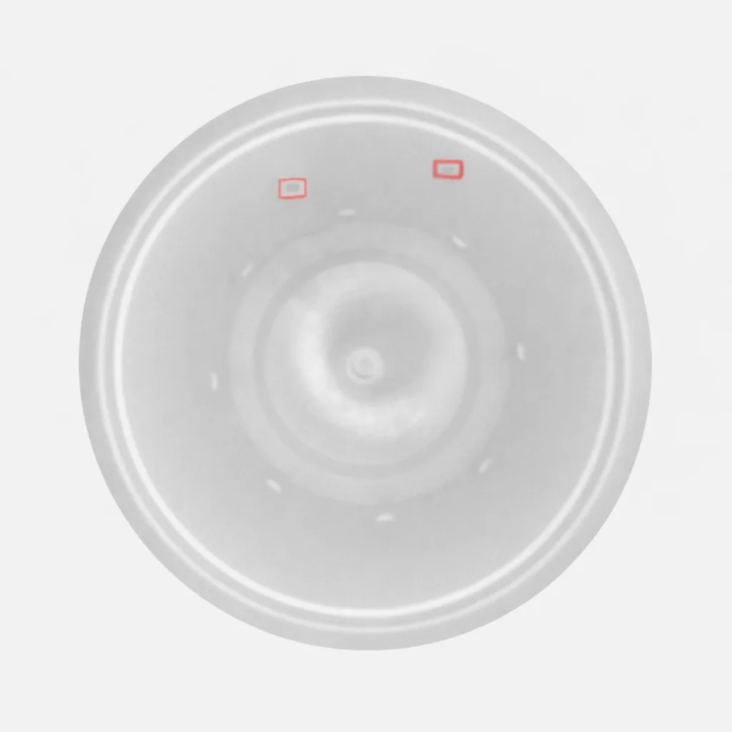 Contamination Inside Container — IML Defect