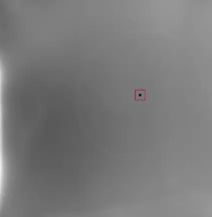 Black Spots Detection