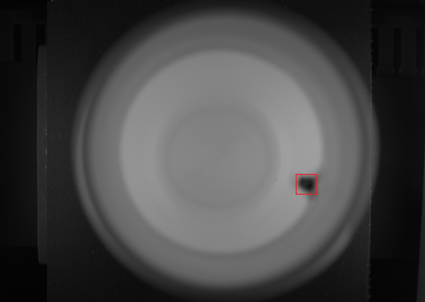 Extra material inside bottle — detected by BIS inside inspection camera