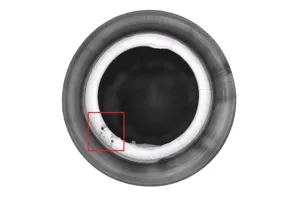 Powder contamination on bottle sealing surface — product contamination on lip detected by BIS-SC filling line inspection